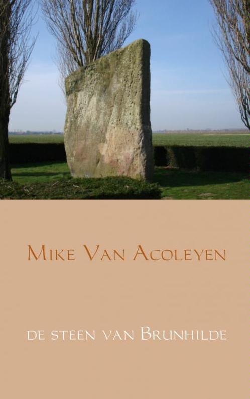De steen van Brunhilde 9789402115925, Boeken, Science fiction, Gelezen, Verzenden