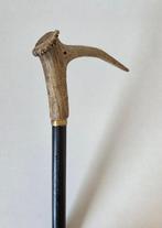 Exclusieve Wandelstok - Hertshoorn, Hertengewei, Rond 1900