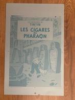 Tintin - Plaque dimpression - Les Cigares du pharaon
