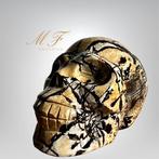 Prachtige schedel en Jaspe afbeelding. Gravure - Hoogte: 80