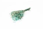 Gepreserveerd gips gipskruid aquamarijn turquoise 60cm. 55gr, Nieuw