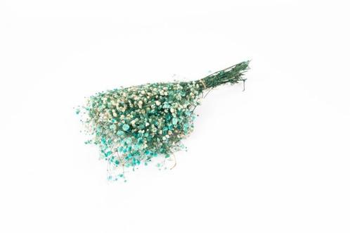 Gepreserveerd gips gipskruid aquamarijn turquoise 60cm. 55gr, Hobby en Vrije tijd, Knutselen, Nieuw