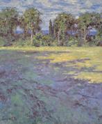 Chris van Dijk  (1952) Impressionist -  Morvan landscape