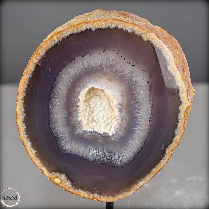 Natuurlijke gesneden geode chalcedoon en agaat Op stand-, Collections, Minéraux & Fossiles
