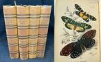 W.F. Kirby - Lloyds Natural History. A Hand-Book to the