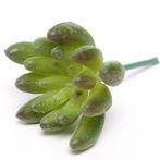 6. 5cm. ARTIFICIAL SUCCULENT GREEN/RED Succulent, Nieuw