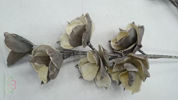 Magnolia kort foam Cool Grey/Creme Magnolia