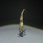 Néolithique Silex Outil en silex. Culture de Michelsberg