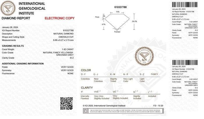 1 pcs Diamant (Couleur naturelle) - 1.42 ct - Émeraude -, Handtassen en Accessoires, Edelstenen
