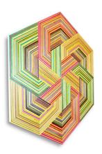 Danilo Nedi - Focused Skateboard Woodworks - Ratsafari ~