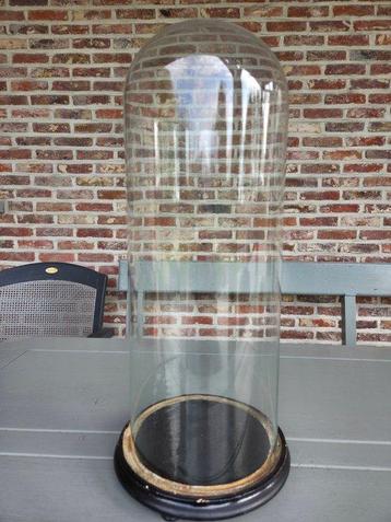 Globe - stolp - antiek - 1901-1920 - Vieux gueule en verre