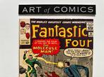 The Fantastic Four #20 - Origin & 1st Appearance Of The, Nieuw
