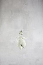 Nicole Furlan - Imparando a volare