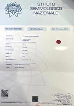 Ring - 18 karaat Geel goud Robijn - Diamant, Nieuw