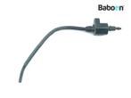 Bobine Honda NS 400 R 1985-1986 (NS400R), Motoren, Gebruikt