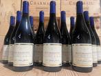 2023 Paul Henri Lacroix Bourgogne Hâutes Côtes de Beaune -, Verzamelen, Nieuw