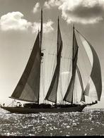 Lino Pastorelli - Sailing - Jaren 2000