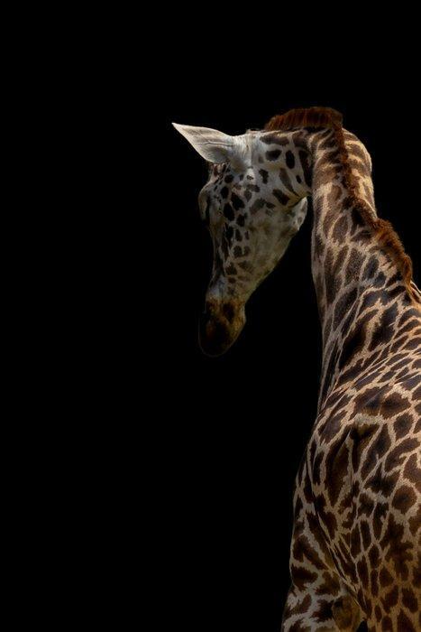 Viktoria Farkas - SSA Wild Geometry - XL, Antiek en Kunst, Kunst | Designobjecten