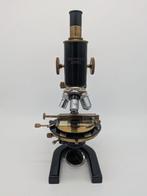 Microscope - #96579 - 1900-1910 - Autriche - Reichert, Collections