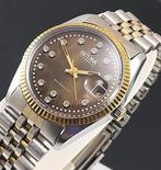 Sicura - Automatic oyster Bezel - Zonder Minimumprijs -, Nieuw