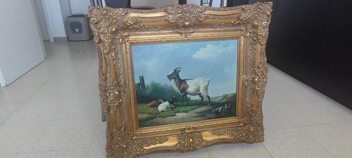 Hollandse School (XX) - Geiten, Antiquités & Art, Art | Peinture | Classique