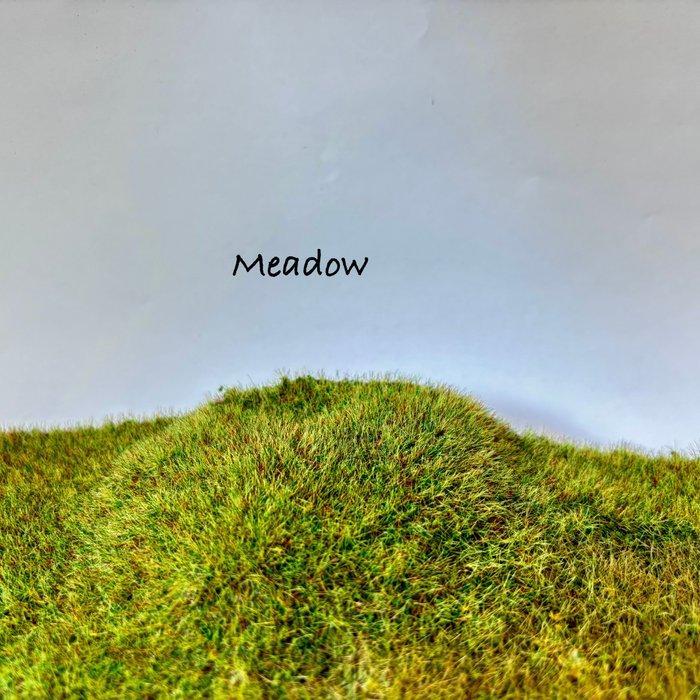 Grote partij 2,8 liter statisch gras voor, Hobby & Loisirs créatifs, Trains miniatures | HO