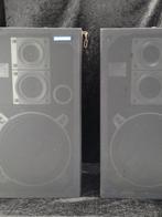 Pioneer – Lautsprecherpaar – 3-Wege-System - CS-989 Enceinte