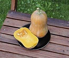 Honeynut Butternut Flespompoen zaden, Hobby en Vrije tijd, Knutselen, Nieuw