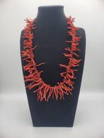 Bloedkoraal Koraal - Corallo Mediterraneo (Zonder