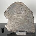 Muonionalusta meteoriet Metaalmeteoriet - Slice-,