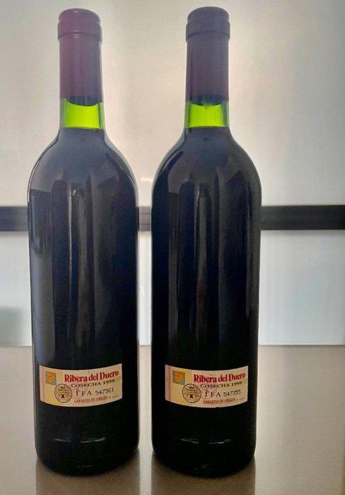 1998 Bodegas y Viñedos Alion - Ribera del Duero - 2, Collections, Vins