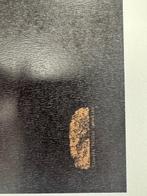 Vincent Sabatier (1971) - Robotclusion Montre Cartier, Antiek en Kunst