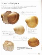 SCHELPENHANDBOEK 9789061139805 K. Wye, Verzenden, Gelezen, K. Wye
