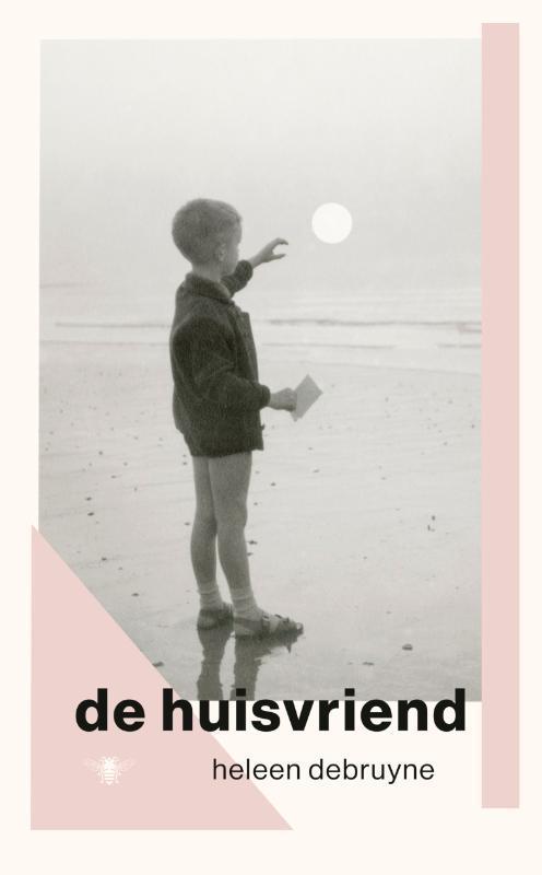 De huisvriend 9789403134710 Heleen Debruyne, Boeken, Romans, Gelezen, Verzenden