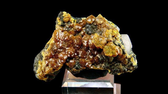 Mimetiet campyliet met Romanechiet-Coronadiet - Dry Gill, Collections, Minéraux & Fossiles