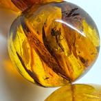 Exclusieve halsketting van natuurlijk Baltisch amber met, Antiek en Kunst