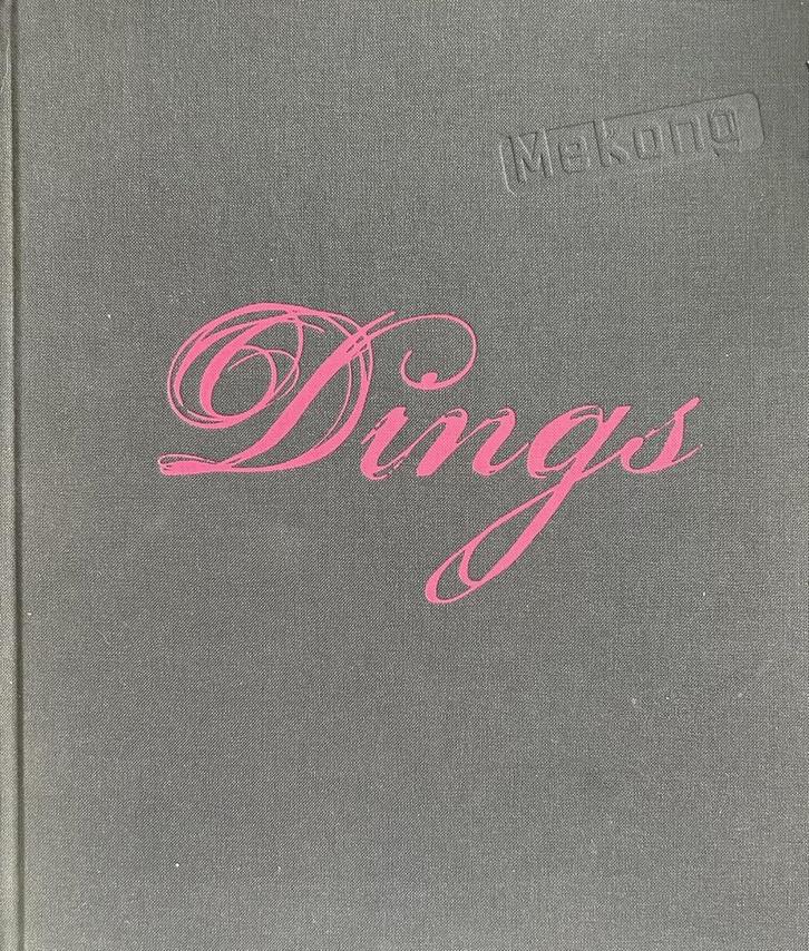 Mekong Nicolaas Dings 9789076052007 Nicolaas Dings, Livres, Art & Culture | Arts plastiques, Envoi