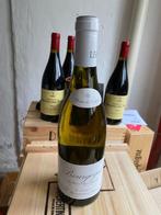 2010 Leroy Fleurs de Vignes Bourgogne Blanc - Bourgogne - 1