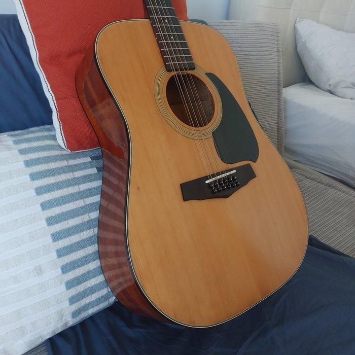 Ibanez - PF10-12 - - 12-snarige akoestische gitaar -, Muziek en Instrumenten, Snaarinstrumenten | Gitaren | Akoestisch
