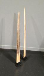 Senza prezzo di riserva - Une paire de grands rostre de, Antiek en Kunst