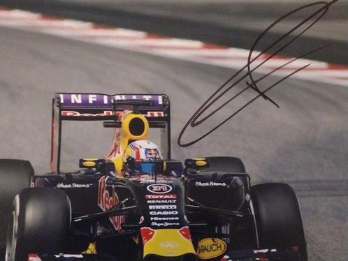 Red Bull Racing - Formule 1 - Pierre Gasly - Photograph -, Verzamelen, Automerken, Motoren en Formule 1