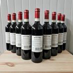 2022 Nipozzano Riserva Rufina, Frescobaldi - Chianti, Verzamelen, Wijnen, Nieuw