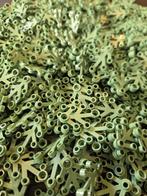 Lego Onderdelen - New Plant leaves 4x3 sand green 350 pcs, Nieuw