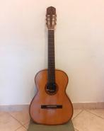 Giannini - AWNM 31 - - Guitare classique - Brésil - 1976