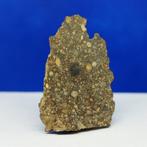 Seuls 49 g dans le monde - MÉTÉORITE CHONDRITE DE TYPE LL3.