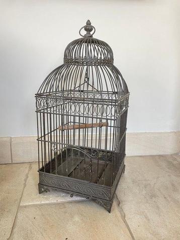 Cage à oiseaux - Fer forgé - Antiquaire à oiseaux