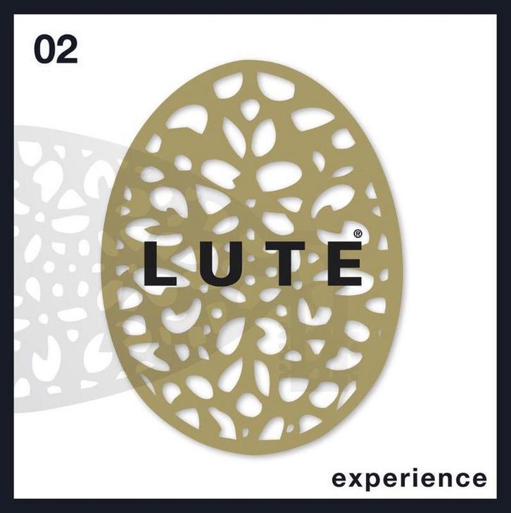 Experience / Lute Bookazine / 2 9789490252007 Marieke Lute, Boeken, Kookboeken, Gelezen, Verzenden