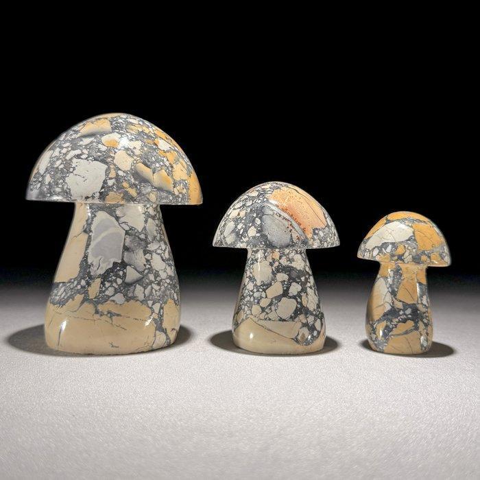 Geen minimumprijs - Prachtige set gele Maligano Jaspis, Antiek en Kunst, Kunst | Designobjecten