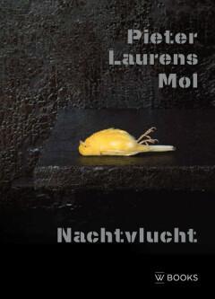 Pieter Laurens Mol 9789462584914, Boeken, Kunst en Cultuur | Beeldend, Zo goed als nieuw, Verzenden