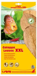 Sera Catappa Leaves XXL 10 stuks, Dieren en Toebehoren, Nieuw, Ophalen of Verzenden